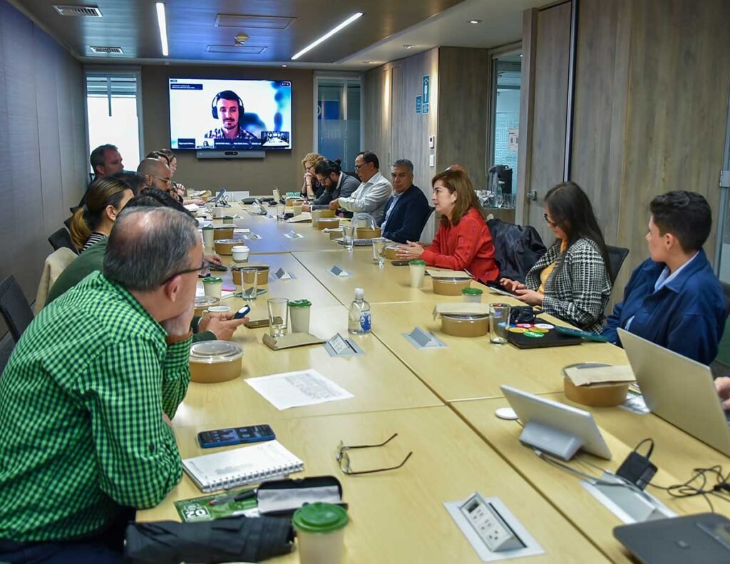 Reunión de trabajo del estudio cualitativo del proyecto TEAM